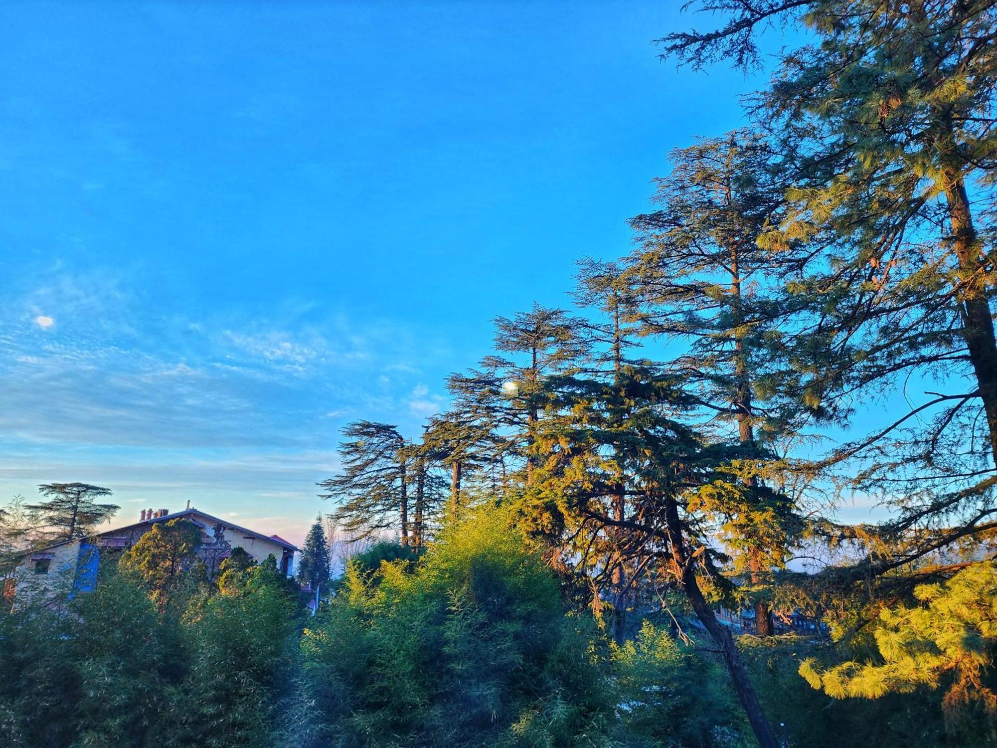 Hotel Pineview Shimla Exteriör bild