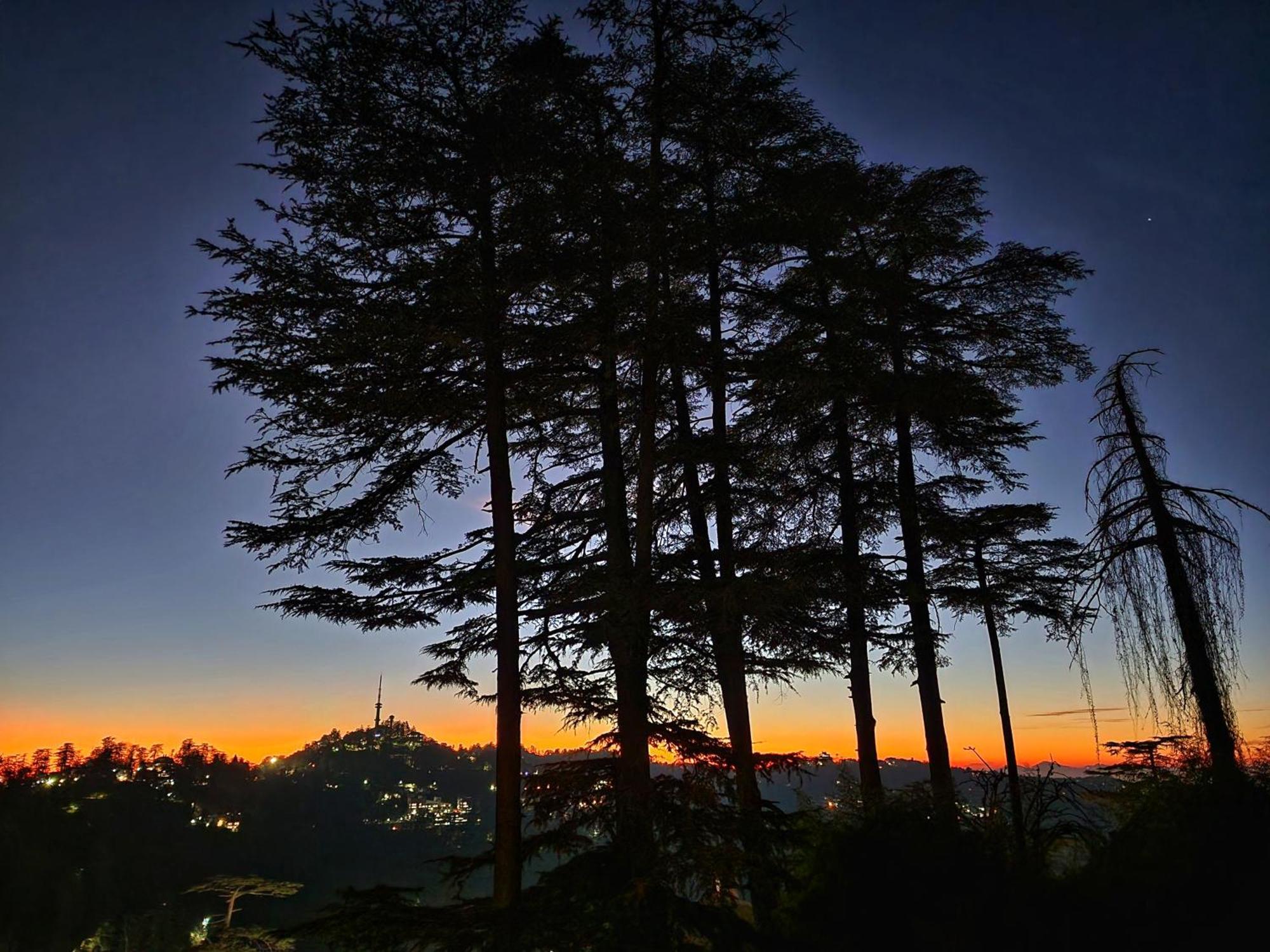 Hotel Pineview Shimla Exteriör bild